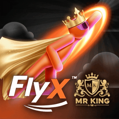 MR KING FlyX